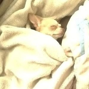 Meet your Posher, Anita